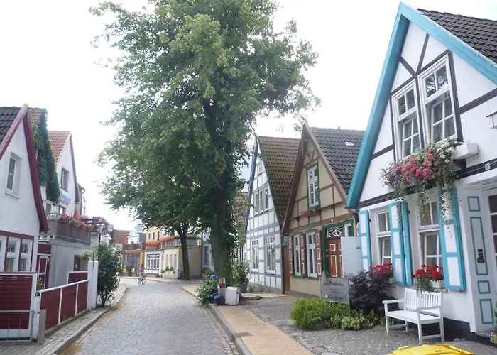 Kreuzliner
